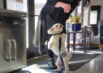 Churchills Fireside and Patio Gallery Photos